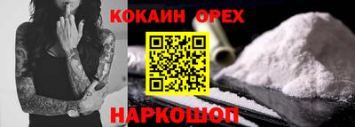 jwh Кингисепп