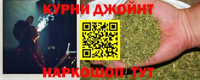 jwh Кингисепп