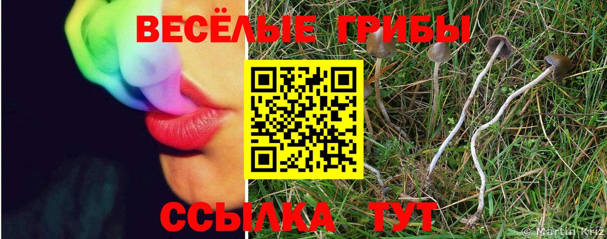 Псилоцибиновые грибы Magic Shrooms Кувандык